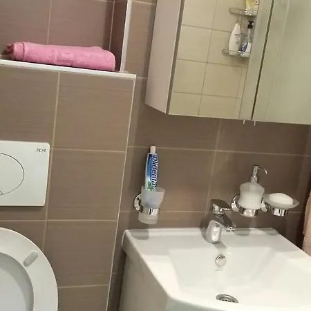 Luxury Miljacka Apartament